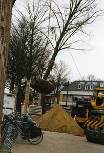 211504-001 Grote boom geplant, 03-2001