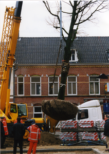 211506-001 Grote boom geplant, 03-2001