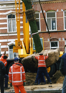 211507-001 Grote boom geplant, 03-2001