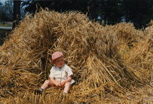 213015-003 Het oogsten van koren met in het koren jongen met pet, 1996