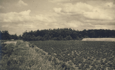 230235 Agrarische omgeving: landbouwgrond, 1950 - 1970