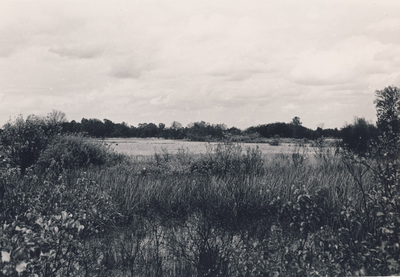 230283 Het Kranenmeer (onder Mierlo), 1951 - 1952