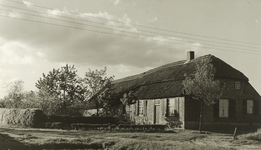 230316 Boerderij, Achterbroek. van de fam. Jacobs, 1955