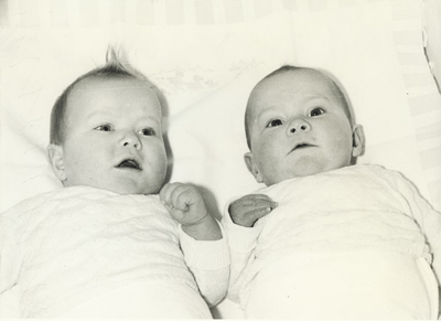230388 De12.000 ste inwoner heet Maria Louisa Antonia Claessens geboren op 7-6-1963 om 7.40 uur. Haar tweelingzusje; ...