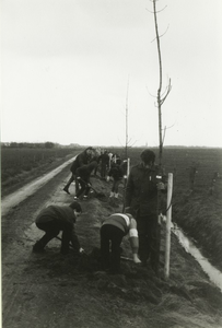 231014 Leerlingen van de Mariaschool uit Someren-Eind planten een boom aan de Landbouwstraat bij Sluis 13, 03-1983