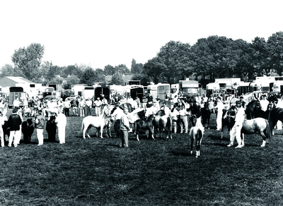 232588 Deelnemers, bezoekers en paarden op de Fokpaardendag in Lierop op kermismaandag, 9-1993