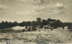 235862 Natuuromgeving : Zandverstuiving in de Lieropse Heide, 1970