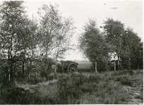 235873 Landschapsgezicht : boerenkar, 1950