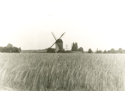 235920 Agrarisch landschap met de standerdmolen Den Evert , 07-1975