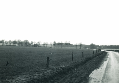 236015 Hogeweg: met boerderijen, 05-1975