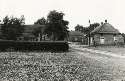 236158 Kerkweg nr 5 en Schoolstraat nrs 6 - 7 : boerderijen, 08-09-1960