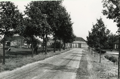 236166 Buurtschap Vlerken, Slievenstraat: Met boerderijen, 08-09-1960