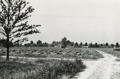 236169 Kruising van Otterdijk en Heesvenstraat: gezien in de richting van Boomen, met boerderijen, 08-09-1960