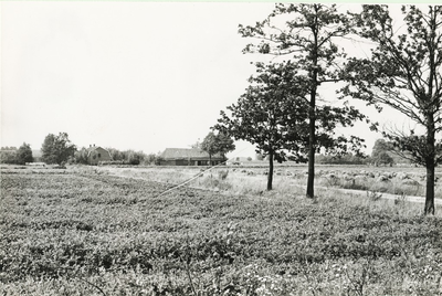 236170 Kruispunt van de Otterdijk-Heesvenstraat, gezien in de richting van Boomen : met boerderijen, 08-09-1960
