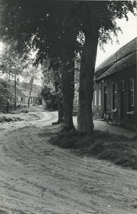 236211 Boerderijen, Moorselse Hoeven, 30-05-1961