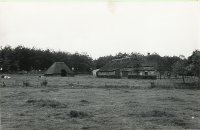 236215 Boerderij, Oeijenbraak 6, 30-05-1961