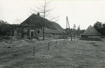 236216 Boerderij, Oeijenbraak 4, 30-05-1961