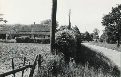 236244 Boerderij: De Wertstraat, gezien vanaf de kruising met de Groenstraat, 31-05-1961