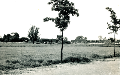 236286 Boerderijen: aan de Houtbroekdijk. Gefotografeerd vanaf de Slievenstraat, 31-05-1961