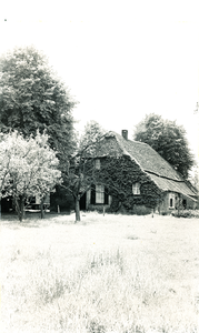236290 Boerderij, Houtbroekdijk 5, 31-05-1961