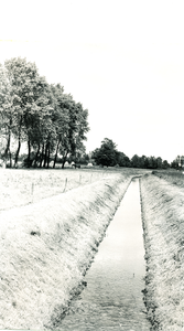 236304 Agrarische omgeving : Slieven, met op de achtergrond de Slievenstraat, 30-05-1961