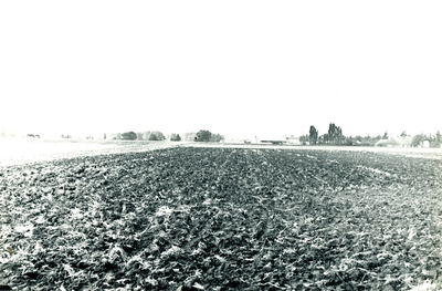 236306 Agrarische omgeving : de Slieven, met op de achtergrond de Slievenstraat, 30-05-1961