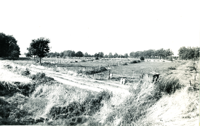 236321 Agrarische omgeving : De Oetert, gezien in de richting van de Kanaaldijk, 19-09-1962