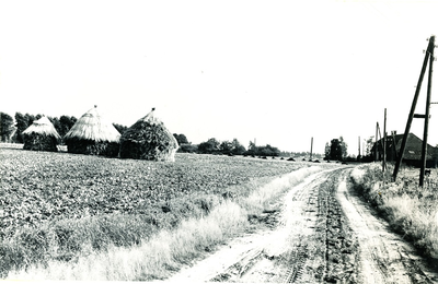 236324 Boerderijen, Akkerweg 1 en Broekstraat 7 (midden), gezien vanaf de Akkerstraat, 19-09-1962