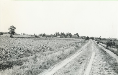 236475 De Hoof : boerderijen, Hoevenstraat, 13-09-1961