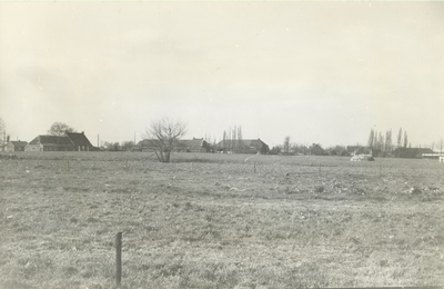 236522 Agrarische omgeving: boerderijen aan de Hoeksestraat in de richting van de Heikomstraat, 01-05-1962