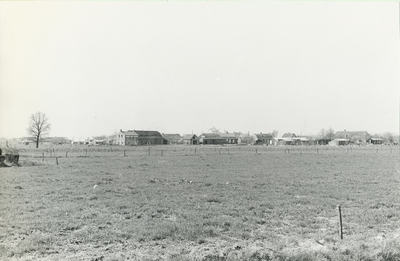 236548 Agrarische omgeving: gezien vanaf de Zandstraat, gezien in de richting van de Ruiter, 26-04-1962