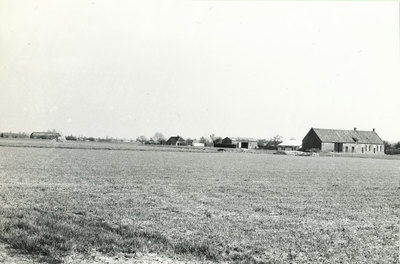 236568 Agrarische omgeving: Zandstraat en de Ruiter, 26-04-1962