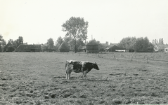 236609 Keizerstraat, gezien vanaf de Lage Akkerweg. Met enkele boerderijen aan de Keizerstraat en met iets rechts van ...