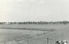 236614 Kanaalstraat, gezien vanaf de Lage Akkerweg, met de zo genoemde Lambertus en Dokterswoningen, 16-09-1963 - 03-07-1964