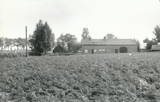 236625 Agrarische omgeving : boerderijen aan de Broekstraat, 16-09-1963 - 03-07-1964