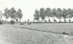 236631 Kanaaldijk Noord, gezien richting Zuid-Willemsvaart en de gemeente Asten , 16-09-1963 - 03-01-1964