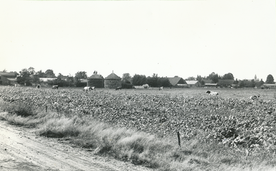 236652 gezien richting Einderstraat met rechts kerk Someren - dorp, 16-09-1963 - 03-01-1964