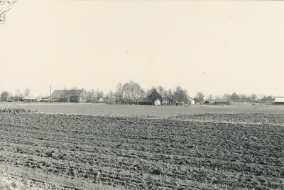 236844 Agrarische omgeving: gezien vanaf de Hugterweg in de richting van de Kerkendijk, 1965