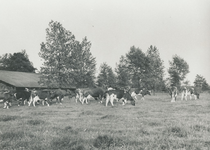 237213 Agrarische omgeving met melkkoeien en stal van Piet Hendriks, 1970-1980