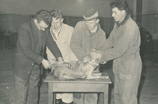 237401 het inenten van een hond door veearts Veldhuis, met assistentie van wel drie gemeenteambtenaren., 21-02-1963