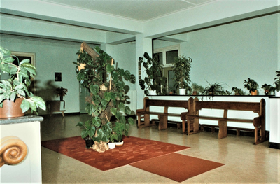 3534 kerkbanken; planten; kapel, circa 1984