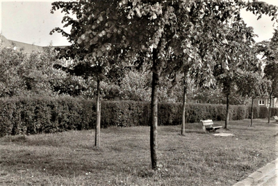 3631 groenstrook; tuinbank, 1963