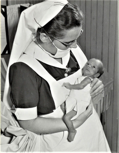 3723 verpleegkundige; baby; couveuseafdeling, 1953
