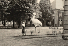 4285 ooievaar; tuin; hoofdgebouw, 1953-05-19