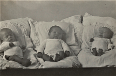 4801 drie zuigelingen; kussen, 1925