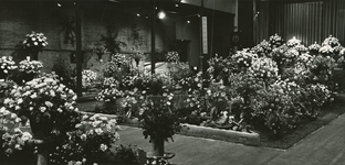 1422 Bloemententoonstelling, 1963-09-21