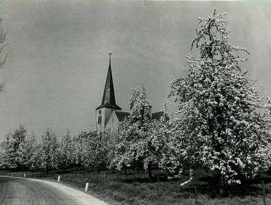1659 Monulphus en Gondulphuskerk Berg, 1953