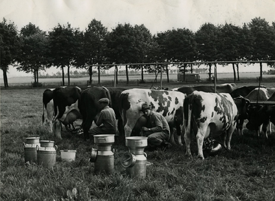 1707 Machinaal melken van koeien, 1962