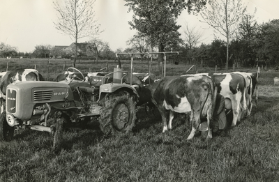 1712 Boer melkt zijn koeien, 1961