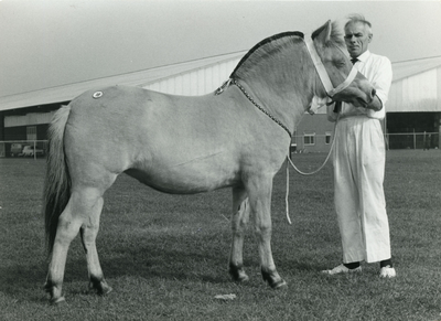 1874 Paardenfokdag Grubbenvorst, 1965-09-25